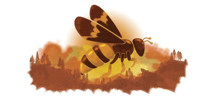 Humboldt Termite & Pest Control Bee