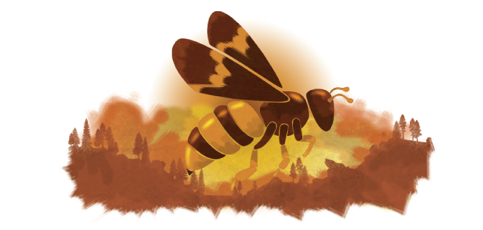 Humboldt Termite & Pest Control Bee Humboldt Termite & Pest Control Bee